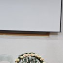 언덕배기꽃식물원 이미지