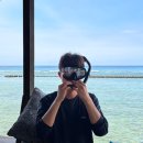 보니따 | 길리섬 거북이 스팟 터틀포인트 스노클링 1편, 까사보니따 후기