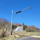 주정차단속-19 이미지