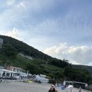 해양레져민박 | 여수 모사금해수욕장 애견동반 후기｜강아지랑 걷기 좋은 여수 숨은 바다 여행지