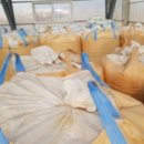 영심이네 이미지