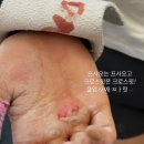 크로스핏 7776 | [크로스핏 기록] 나 크로스핏 하는 거 구경할 사람? / 창원 크로스핏