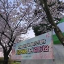 낙동제방 자전거도로 이미지