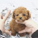 요미 티스토리