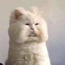 마왕족발하계점