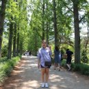 숲어울림치유연구소