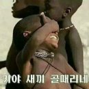 수정-114 이미지