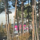 국가대표 | WBC 국가대표 평가전 직관 후기 (+110블록 I열 시야)