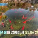 "손안에 솔정원" 이미지