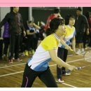 미르체육관 이미지