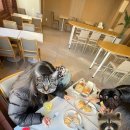 NR-1[영산로]-상-43 | [전남/목포] 2박 3일 목포여행 DAY1: 쑥굴레, 코롬방제과점, 목포케이블카, 독천식당, 오리날개튀김...