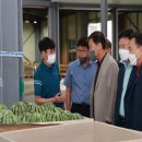 진안군농협조합공동사업법인 이미지