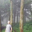 궷물오름 이미지