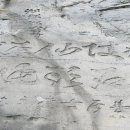 무릉선원 이미지