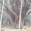 수지가축약품 | 농약학 - 농약의분류