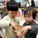 with animals in children day care center 이미지