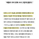 저는 ㅅㅈㅎ 하영 엄마가 70년대에 노르웨이로 유학간것도 신기했어요 이미지