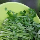 부산청과 2번 이미지