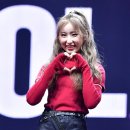 이채연 카카오 검색결과