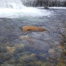 무릉도원면-1 이미지