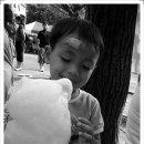 햇님 달님 이미지