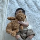 퍼피 베어(PUPPY-BEAR) | 젤리캣 토끼 블러썸버니 / 곰 바르톨로뮤베어 / 강아지 바쉬풀퍼피 / 백팩 가방 (한국 미국 가격)