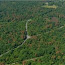 서울소나무의원 이미지