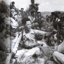 사진으로 보는 한국 경찰 역사 ( 1945년 - 1960년 ) 이미지