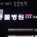 24시예스동물병원 이미지
