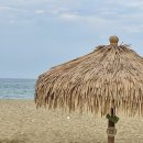 주가네옹심이 이미지