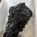 못난이샤크 실내바다낚시터 이미지