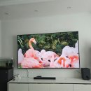 86 | 사운드바까지 공짜로 주는데 가격이 220만 원대? LG 86인치 QNED TV 4K(86QNED75AEA) 구매후기