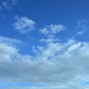 푸른하늘 이미지