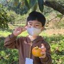 비룡농장 이미지