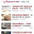 보라PCE