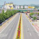 (주)고려시멘트 이미지