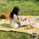 옐로우라이크 | 매트 두꺼운 푹신한 돗자리 특 대형 피크닉돗자리 피크닉 매트 양면방수돗자리 : 솜솜라이크 솔직 후기
