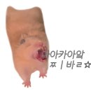 바다를 품은 보성회센타 이미지