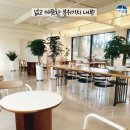 연소해수욕장 이미지