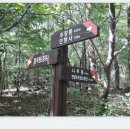 포항상생숲길 이미지