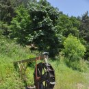 약수터 옆 이미지