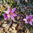 어등농장 이미지