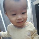 519비어 이미지
