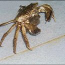 동남자원 이미지