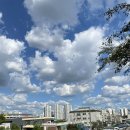 호현로439번길 이미지