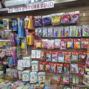 드림디포고양