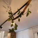 이티상점 이미지