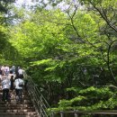 태백경찰서 앞 횡단보도 | [여행] 도쿄 후지산 버스투어 당일치기 내돈내산 대만족 후기 / 예약 사이트 공유