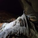 돼지날다 이미지