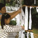 태백 관광지 투어 이미지